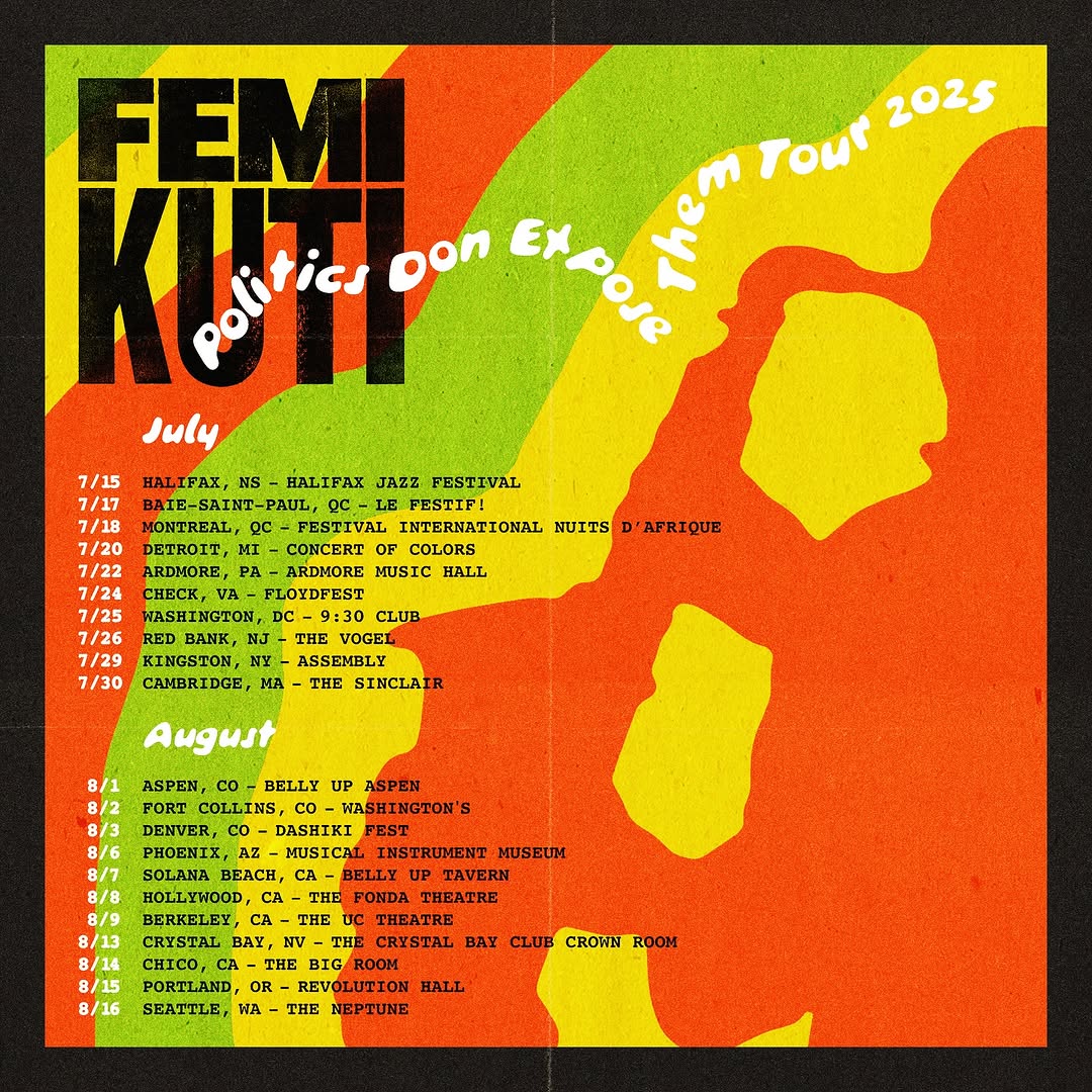 Femi Kuti Politics Don Expose Them Tour Poster 2025